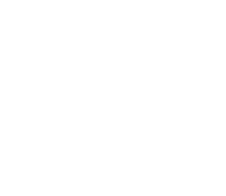 T.P.L GROUP